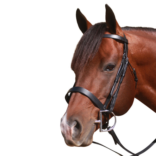 McAlister Flat Cavesson Bridle