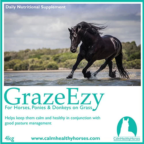 GrazeEzy - Calm Healthy Horses