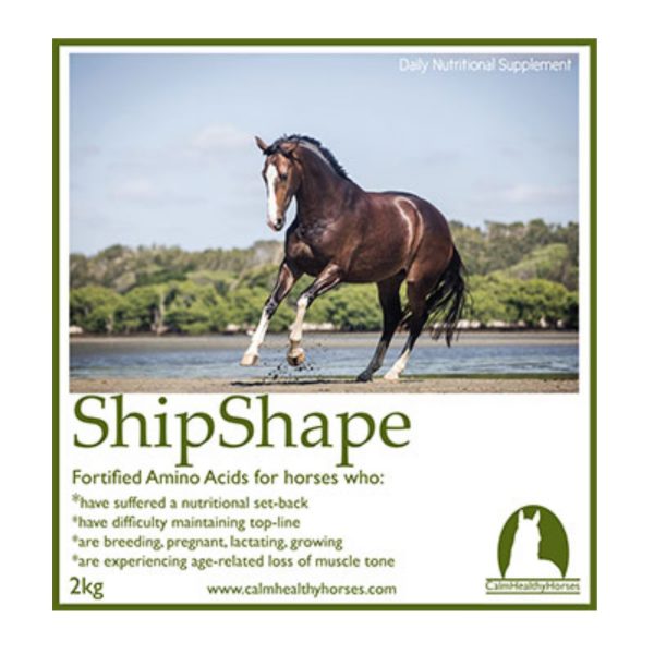ShipShape - Calm Healthy Horses