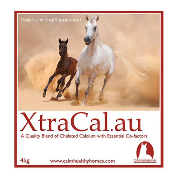 XtraCal - Calm Healthy Horses